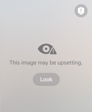Auto-generated message to parent about the sensitive and unsafe content their child may be viewing on a video call, with options to Resume Audio and Video or End Call