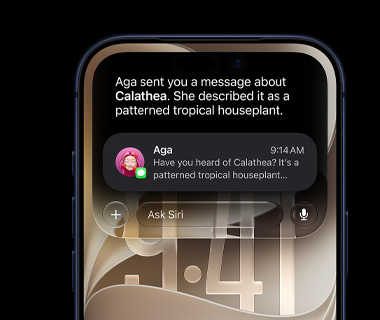 Static of Siri AI in use in Dynamic Island in iPhone 17 Pro