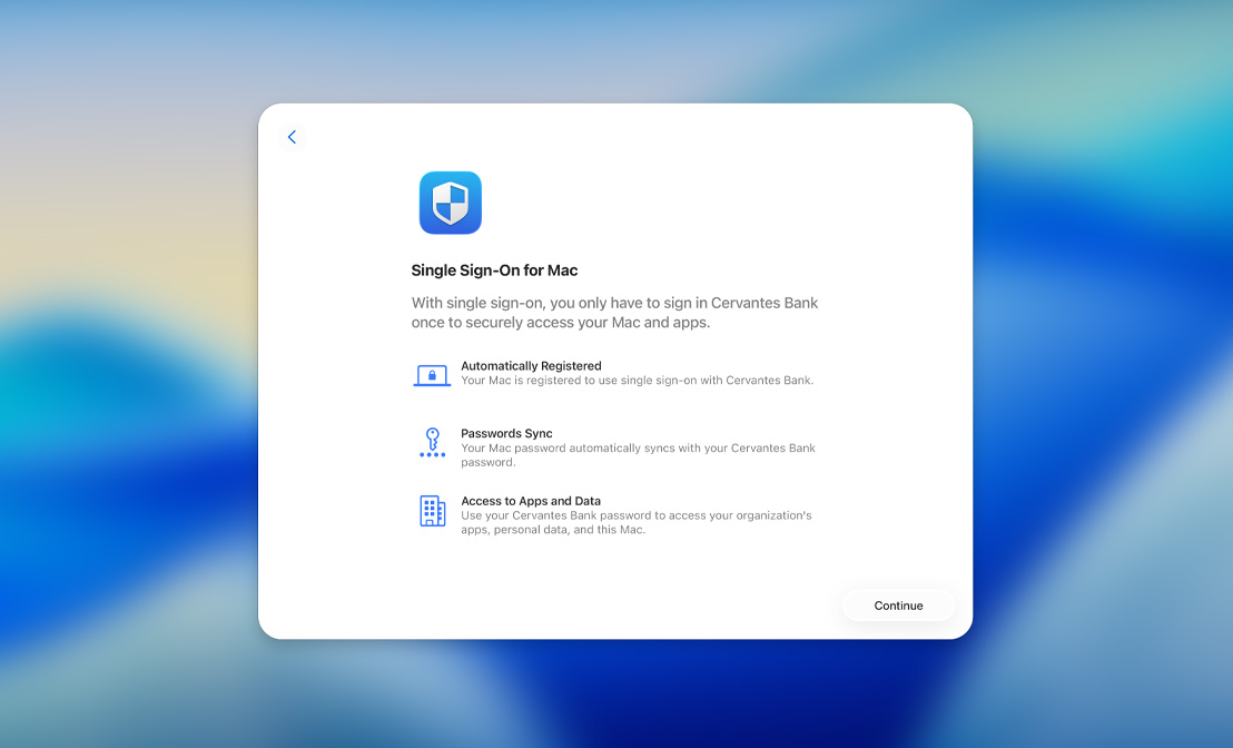自動登録、パスワード同期、アプリやデータへのアクセスのオプションが表示されたシングルサインオン設定ダイアログ