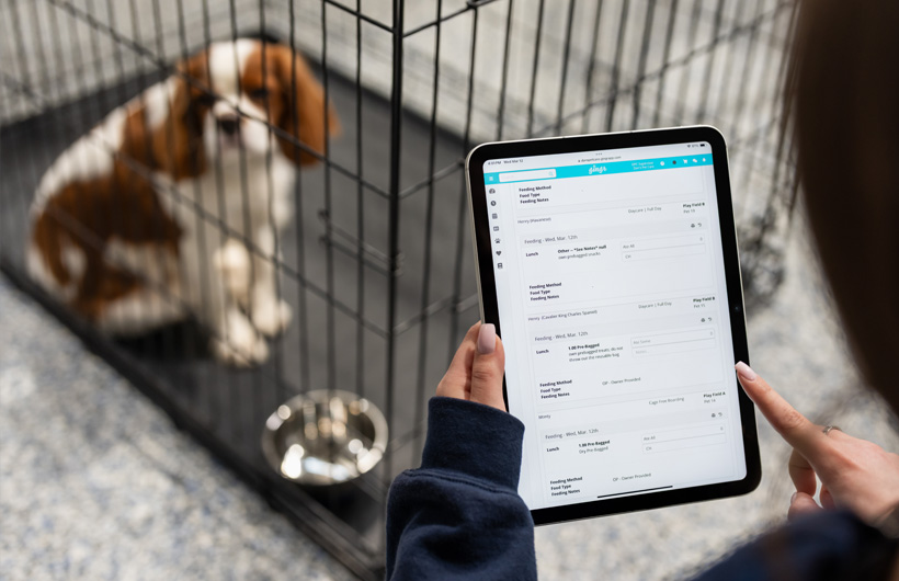 iPad pozwala opiekunom na bieżąco aktualizować informacje o zwierzakach – na przykład o przyjęciu pokarmu czy leków – za pomocą aplikacji Gingr do zarządzania opieką.