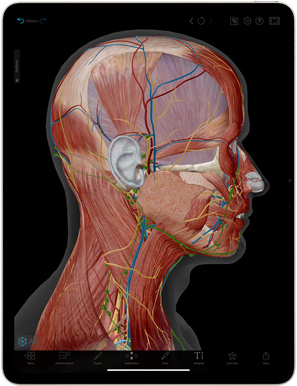 App Atlas de anatomía humana en un iPad Air