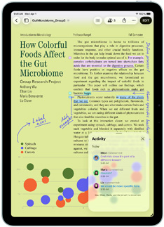 Pages app shown on an iPad Air